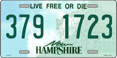 NH license plate 3791723