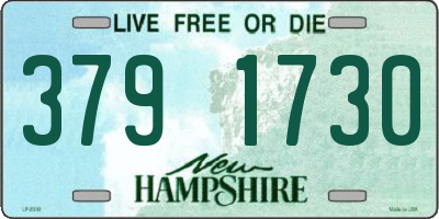 NH license plate 3791730
