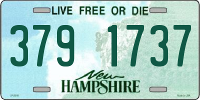 NH license plate 3791737