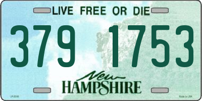 NH license plate 3791753