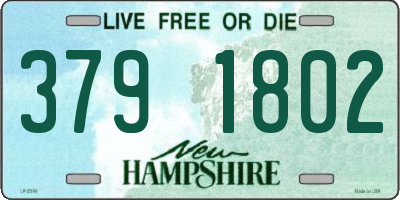NH license plate 3791802