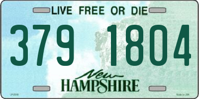 NH license plate 3791804