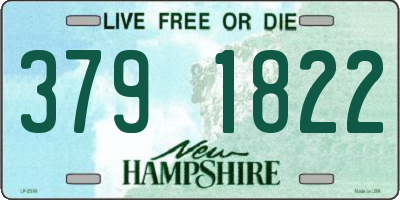 NH license plate 3791822
