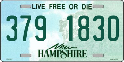 NH license plate 3791830