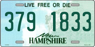 NH license plate 3791833