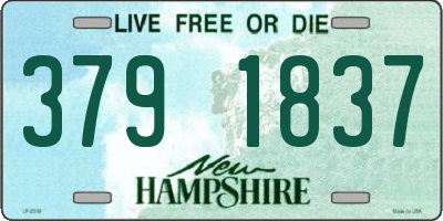 NH license plate 3791837