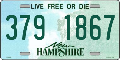 NH license plate 3791867