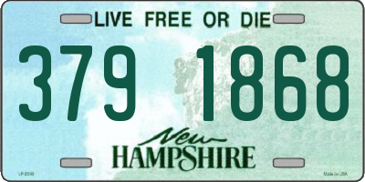 NH license plate 3791868