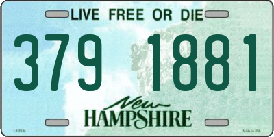 NH license plate 3791881
