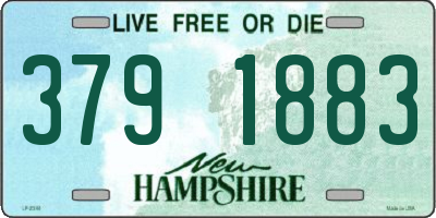 NH license plate 3791883