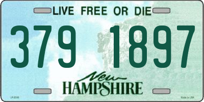NH license plate 3791897