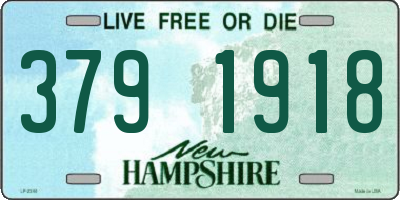 NH license plate 3791918