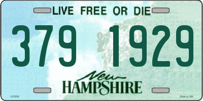 NH license plate 3791929
