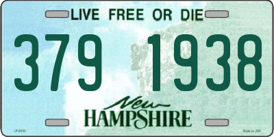 NH license plate 3791938