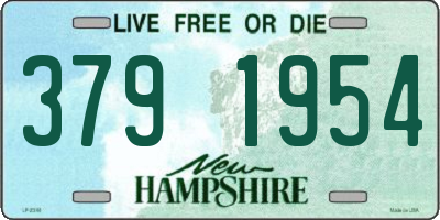 NH license plate 3791954