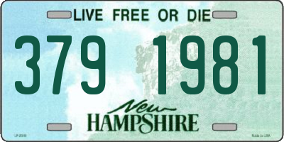 NH license plate 3791981