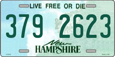 NH license plate 3792623