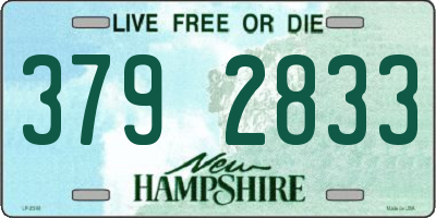 NH license plate 3792833