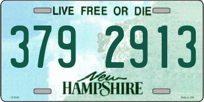 NH license plate 3792913