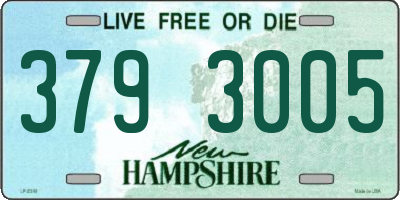 NH license plate 3793005