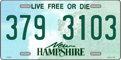 NH license plate 3793103