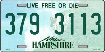NH license plate 3793113