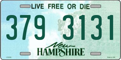 NH license plate 3793131