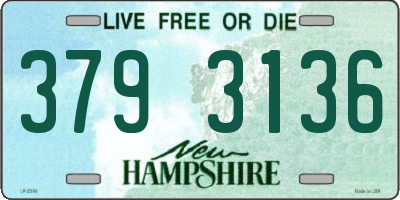 NH license plate 3793136
