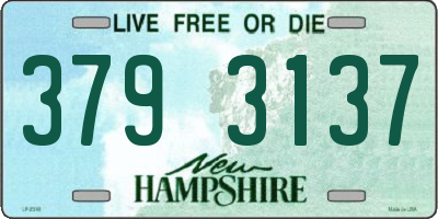 NH license plate 3793137