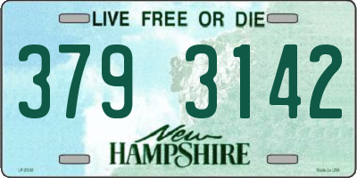 NH license plate 3793142