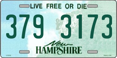 NH license plate 3793173