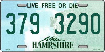 NH license plate 3793290