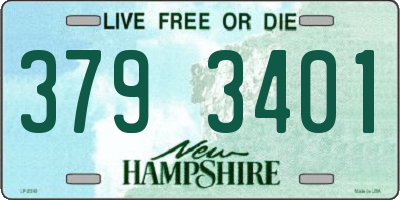 NH license plate 3793401