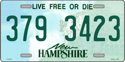 NH license plate 3793423