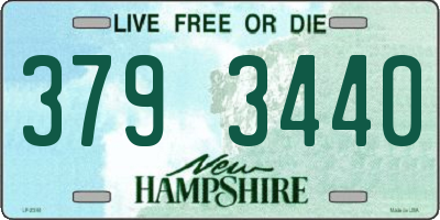 NH license plate 3793440