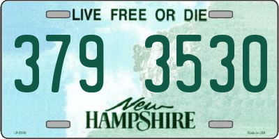 NH license plate 3793530