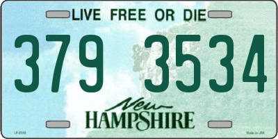 NH license plate 3793534