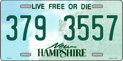NH license plate 3793557