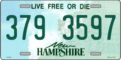 NH license plate 3793597