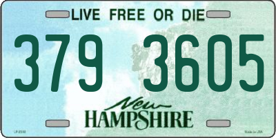 NH license plate 3793605