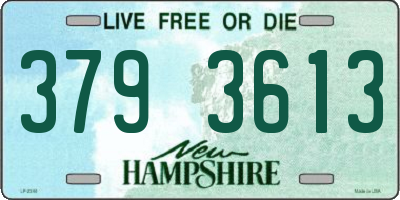 NH license plate 3793613