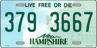 NH license plate 3793667