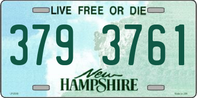 NH license plate 3793761