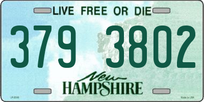 NH license plate 3793802