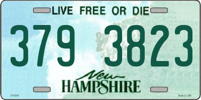 NH license plate 3793823