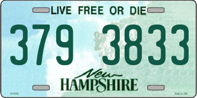 NH license plate 3793833