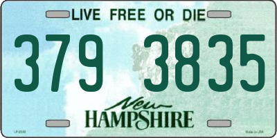 NH license plate 3793835