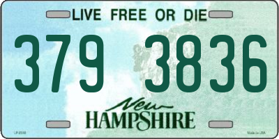 NH license plate 3793836