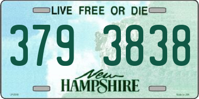 NH license plate 3793838