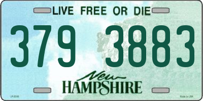 NH license plate 3793883